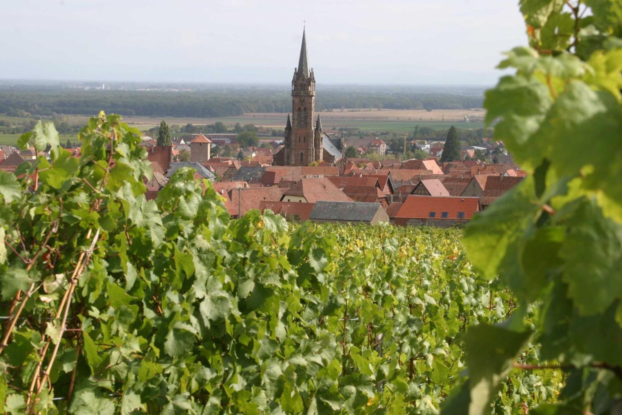Chambres D'Hotes Ruhlmann Dambach Buitenkant foto